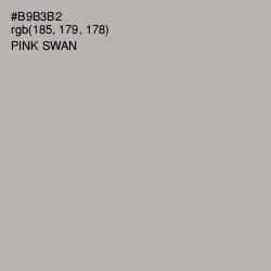 #B9B3B2 - Pink Swan Color Image